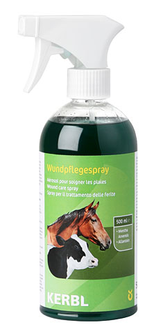 Wundpflegespray 500 ml zur Unterstützung der Selbstheilung