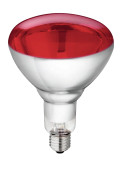 Hartglas-Infrarotlampe 250 W "rot" Philips 240 Volt, Spritzwasserfest