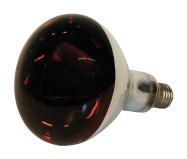 Hartglas-Infrarotlampe 150 W "rot" 240 Volt, Spritzwasserfest